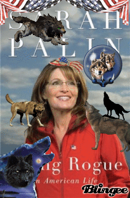 Look At All Of The Funny Sarah Palin Book Cover Blingees!