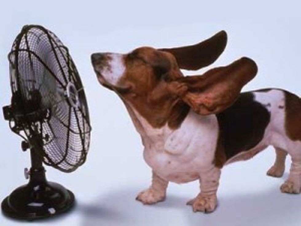 Just Because It's 1,000 Degrees Doesn't Mean You Shouldn't Be Outside This Weekend