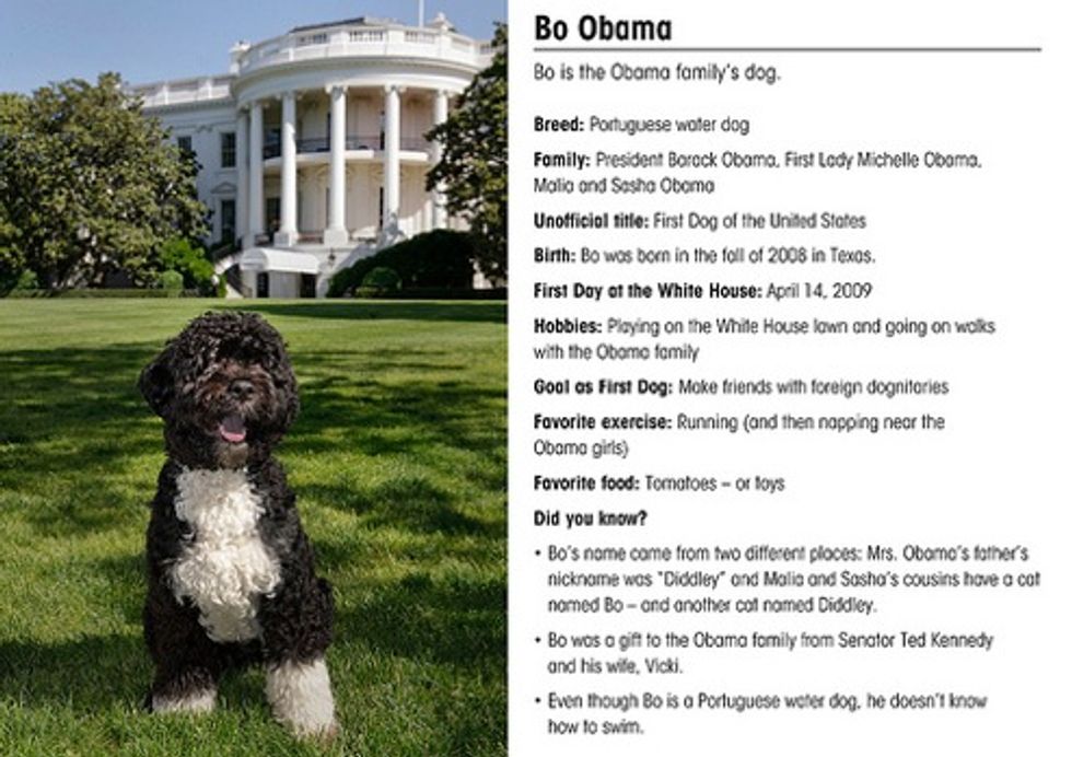 White House Beast Only Eats Tomatoes, Toys