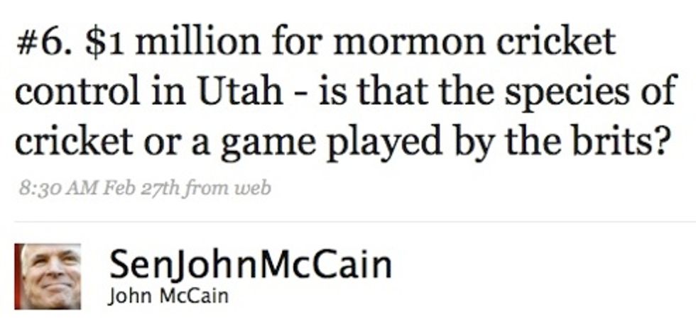 Can John McCain Stop The Mormon Cricket Invasion?