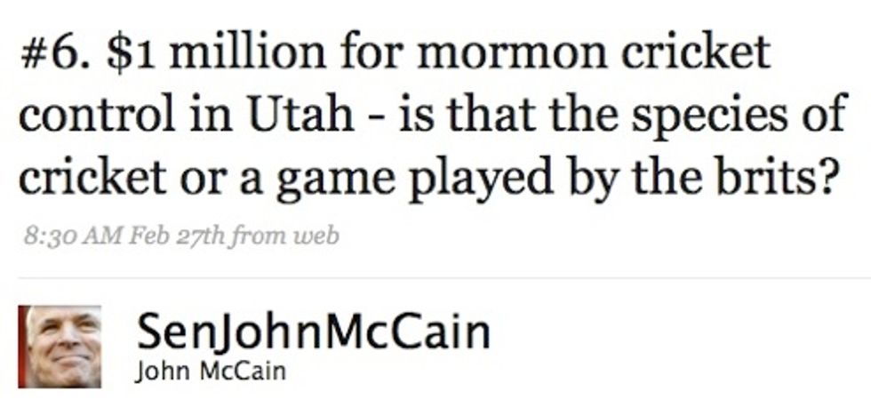 Can John McCain Stop The Mormon Cricket Invasion?