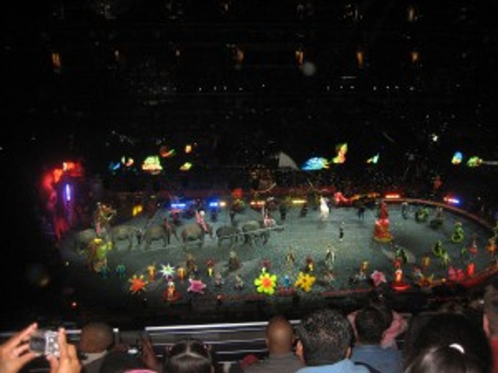 A Questionable Night at the Ringling Brothers & Barnum and Bailey Circus