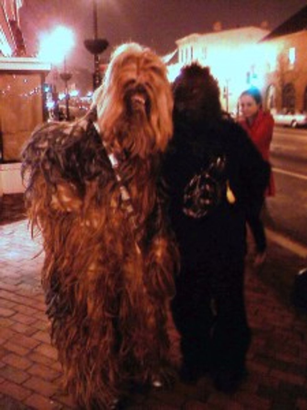 And Furries Shall Walk the Streets