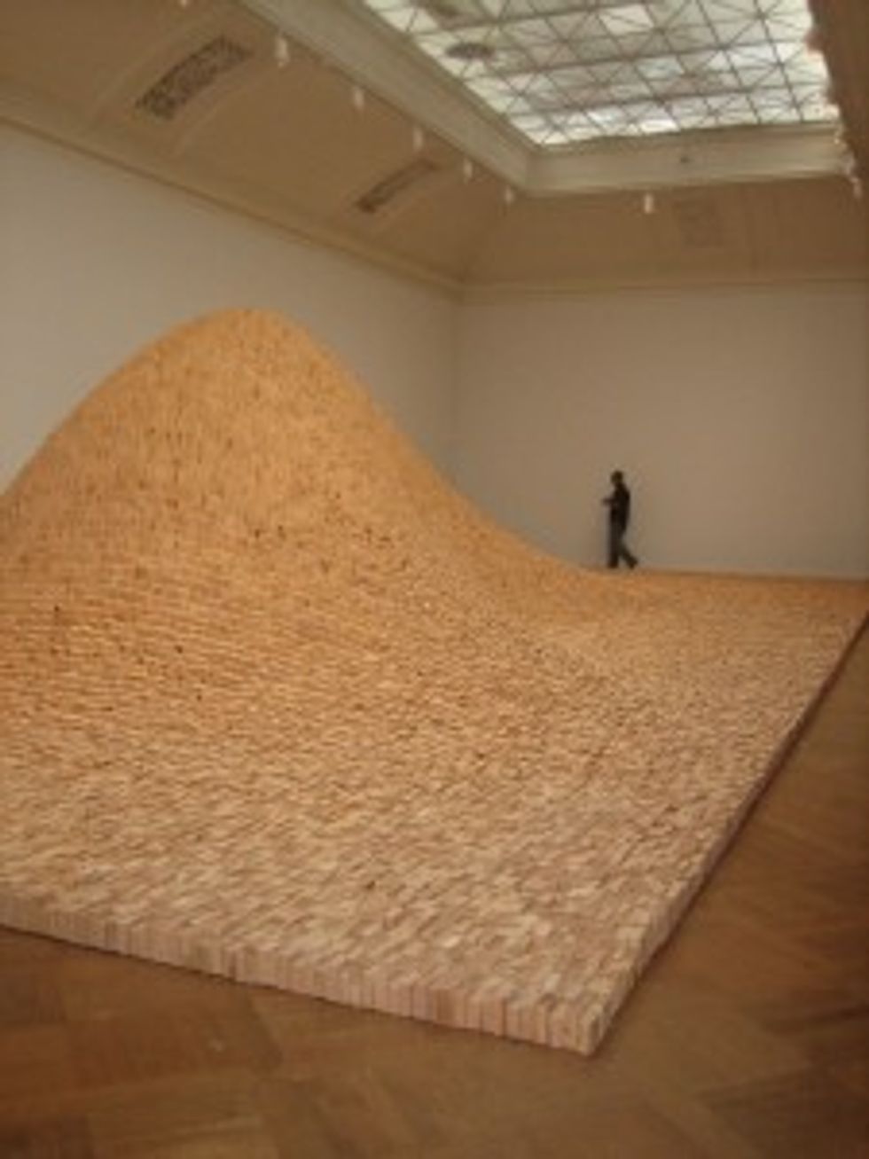 Blurry Photos From the Maya Lin Exhibit