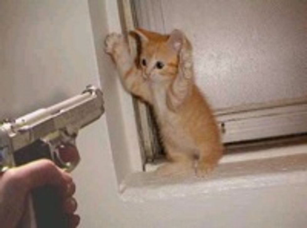 Kirsten Gillibrand Has To Hide Her Guns From Robbers