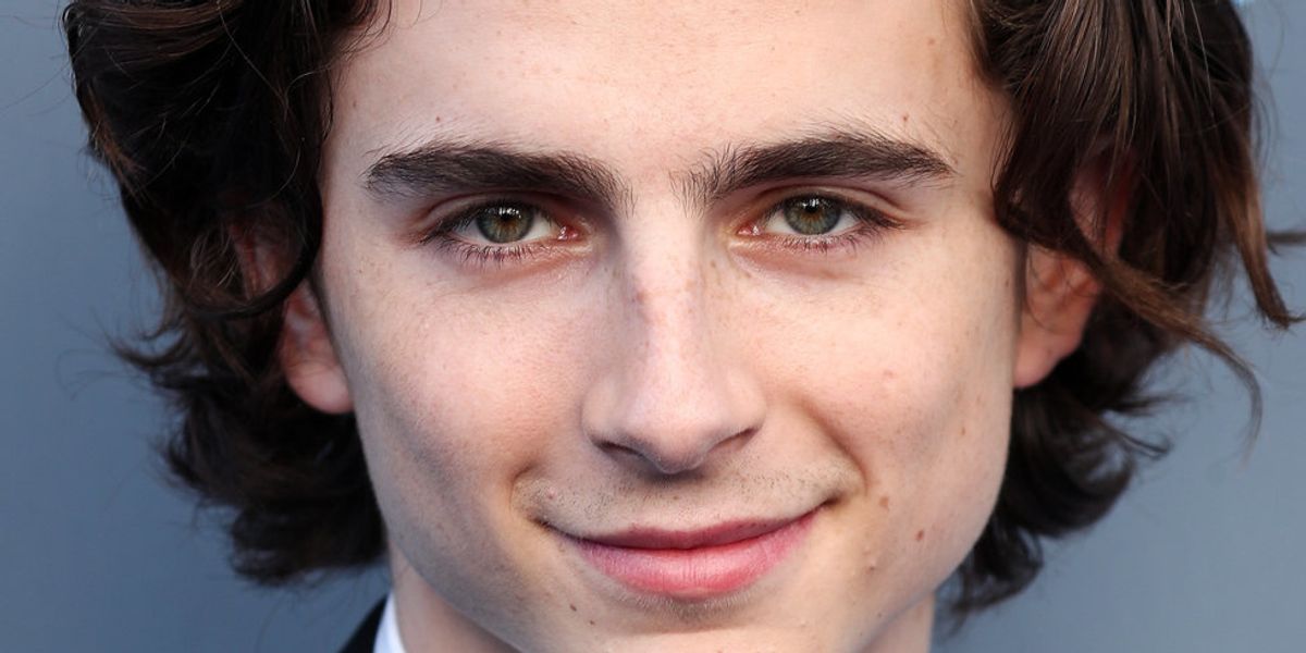 Wear Your Love For Timothée Chalamet with 'Chalamet and Chill' Tees