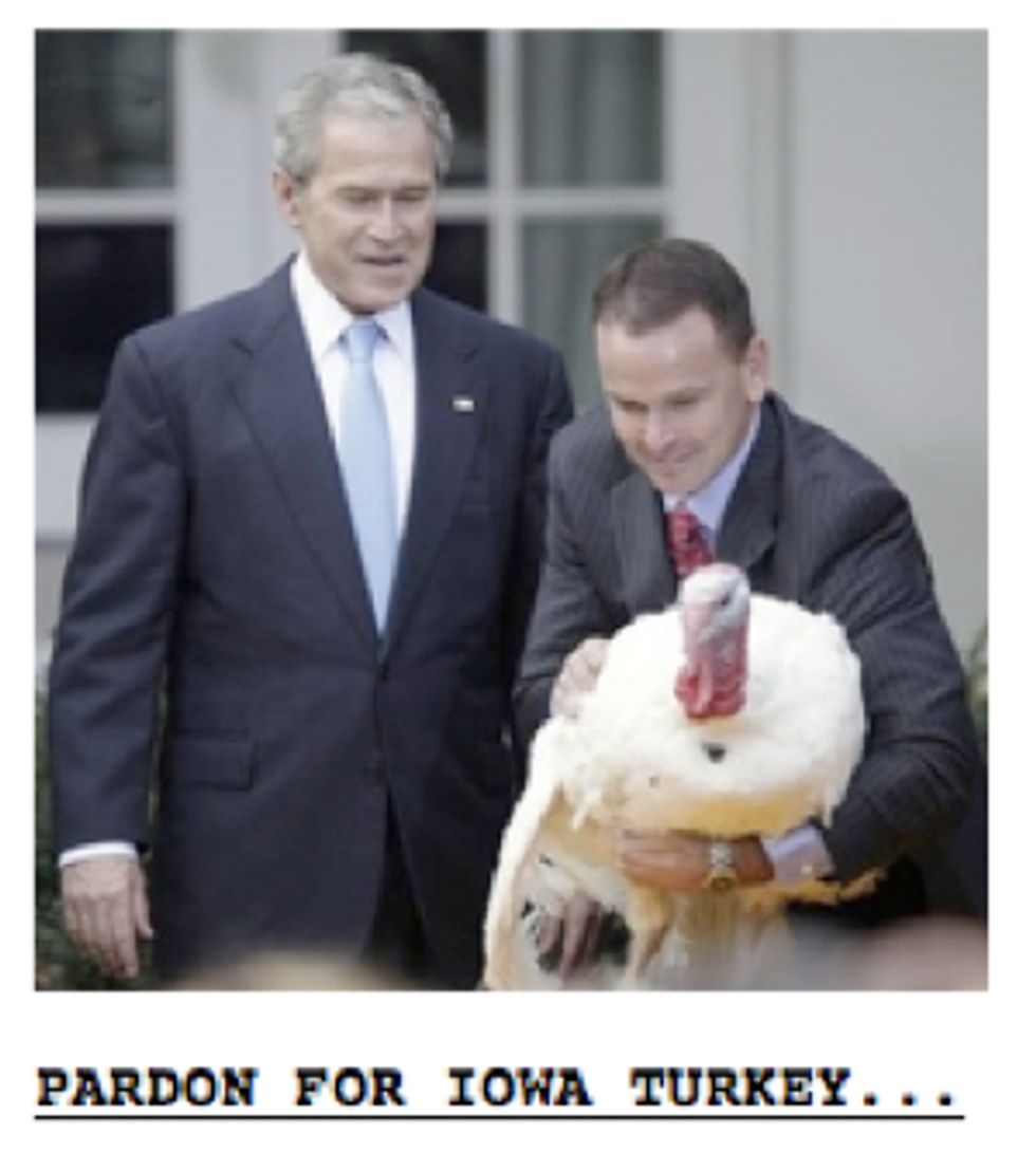 Here's Your 2008 Comical Bush/Turkey Photo