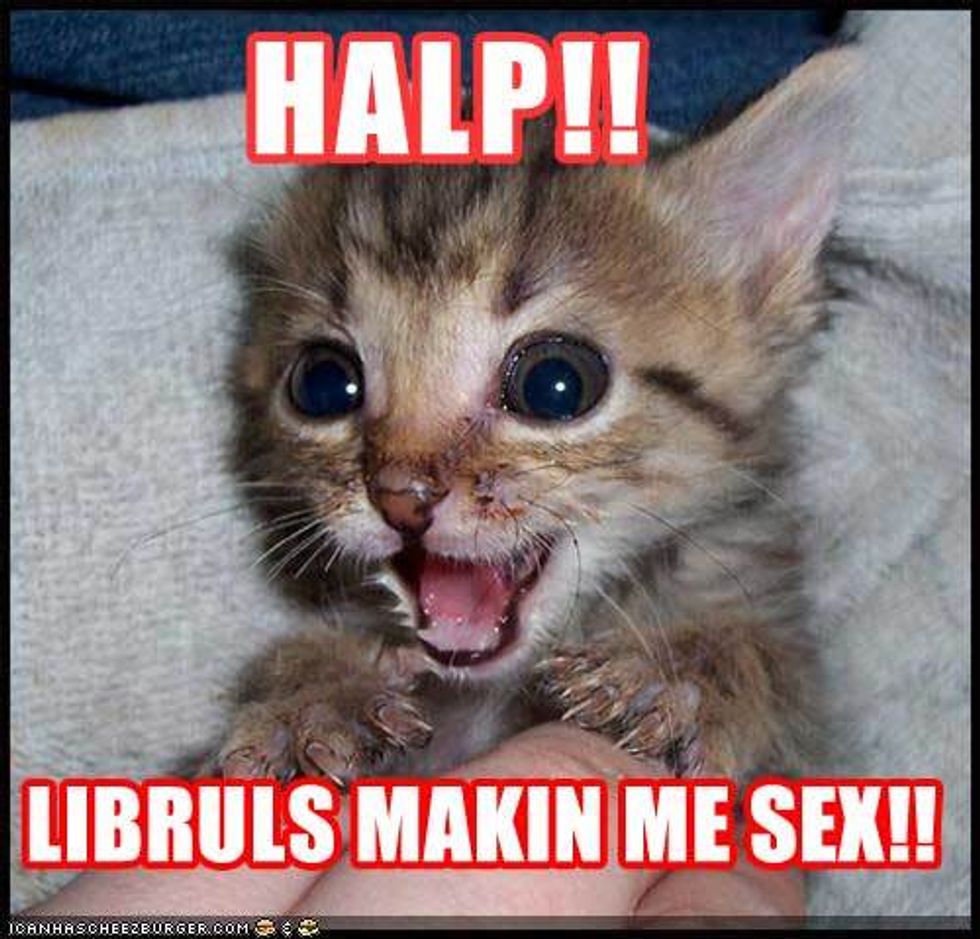 Liberals All Boned After Obama Win