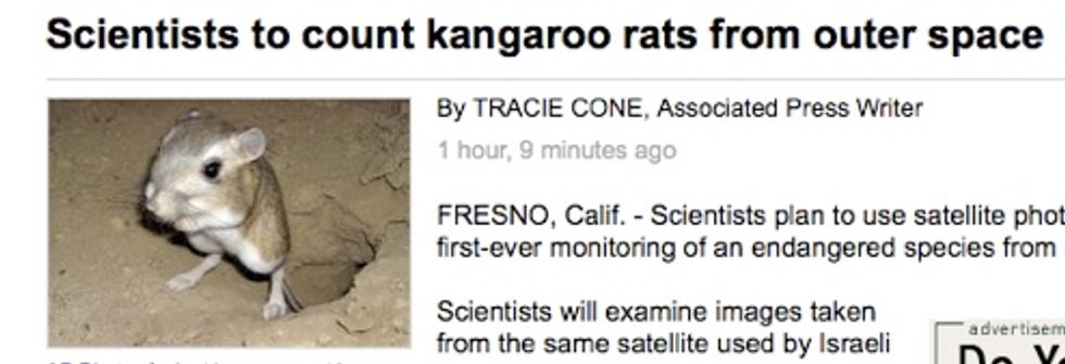 'Outer Space' And 'Rats' Mentioned In Non-Wonkette News Source