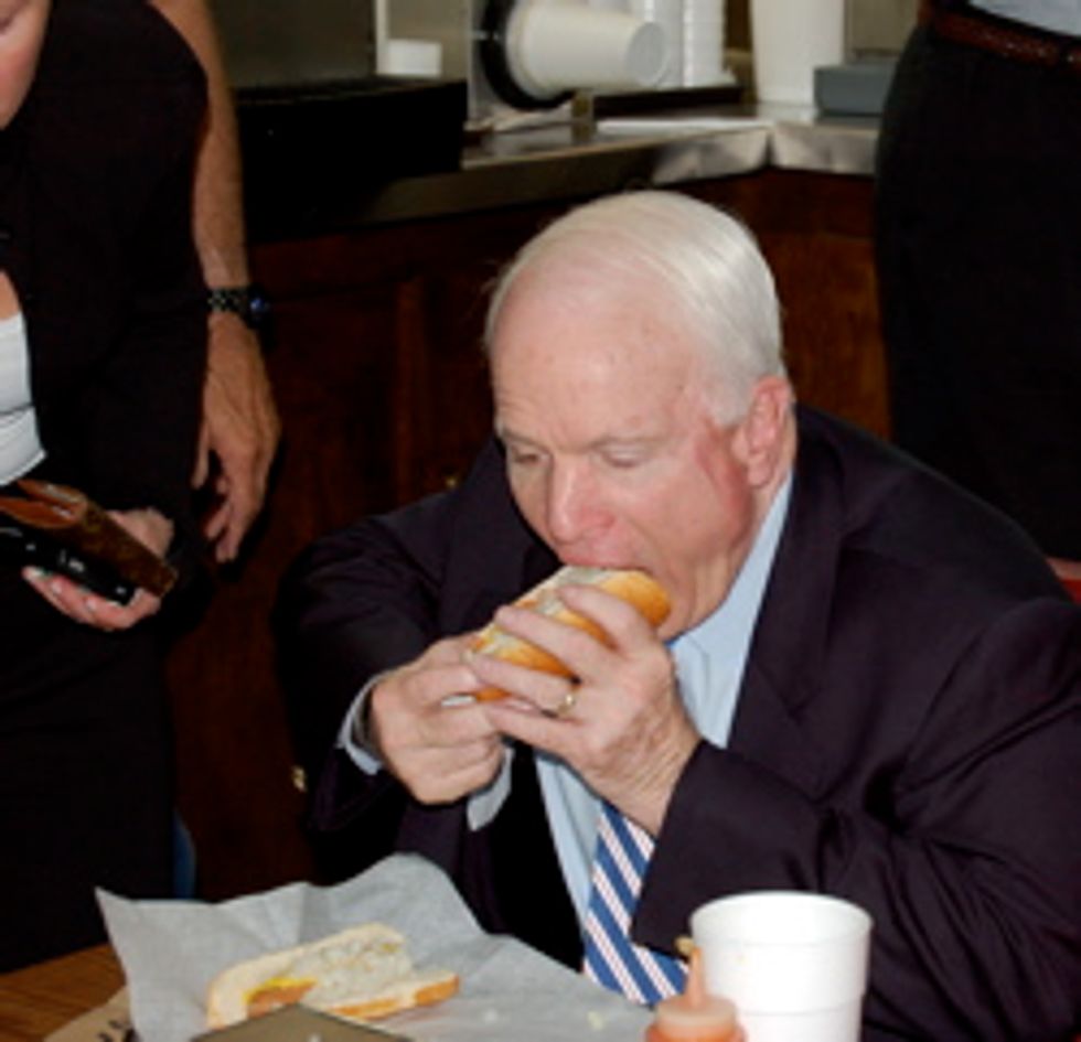 John McCain Does Not Know How Many Baronial Estates He Has
