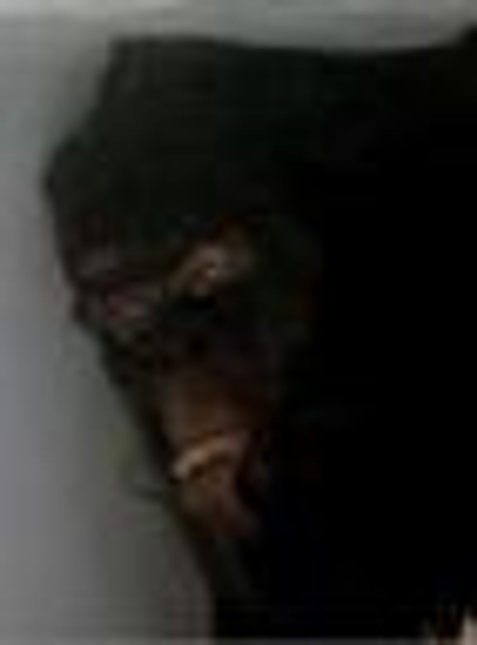 Why Won't Obama Apologize For Dead Bigfoot?