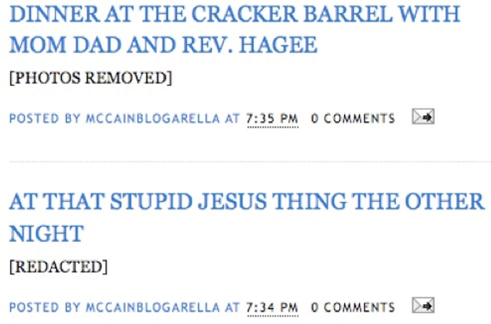 McCain's Other Daughter Also Has A Crappy Blog!