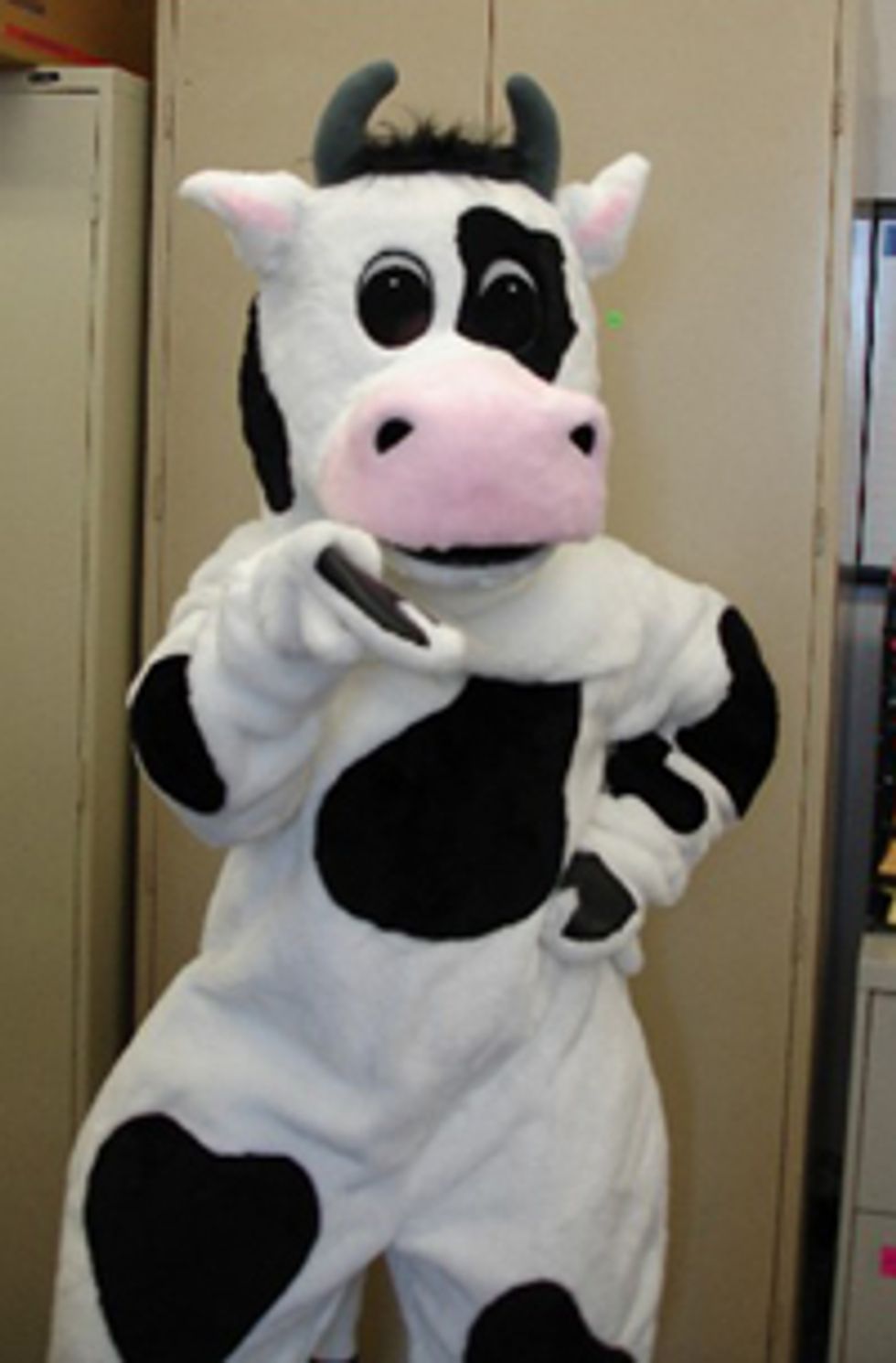 Meet The Cow Porn Judge!