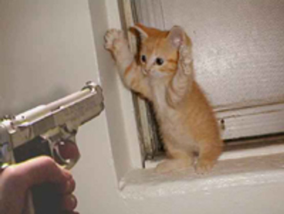 Liveblogging Michelle Obama's Bold Anti Kitty-Mugging Stance On 'The View'