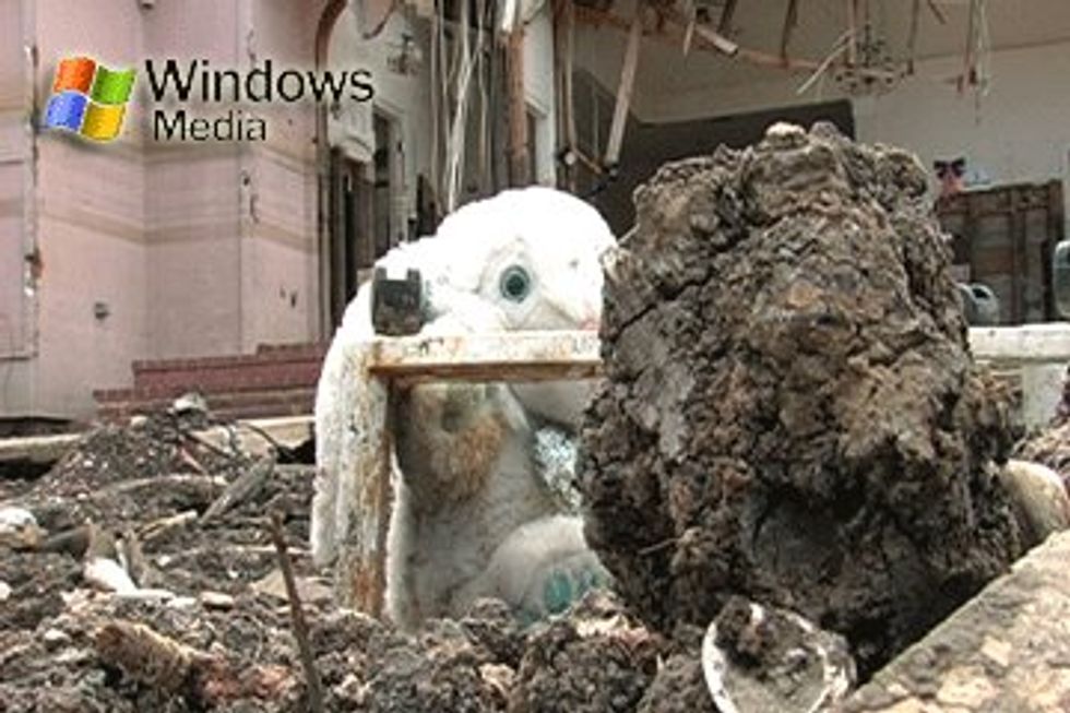 We Watch Your Homemade Documentary Shorts