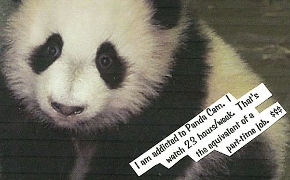 Pandaddicts
