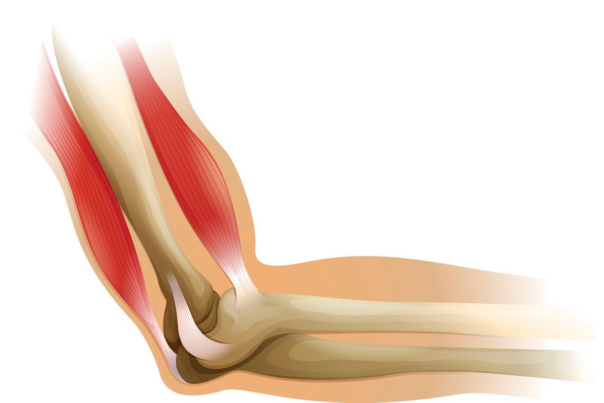 sensors elbow tendon