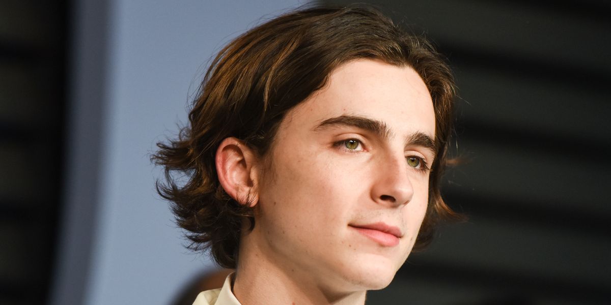 See the First Glimpse of Timothée Chalamet as a Recovering Meth Addict in 'Beautiful Boy'