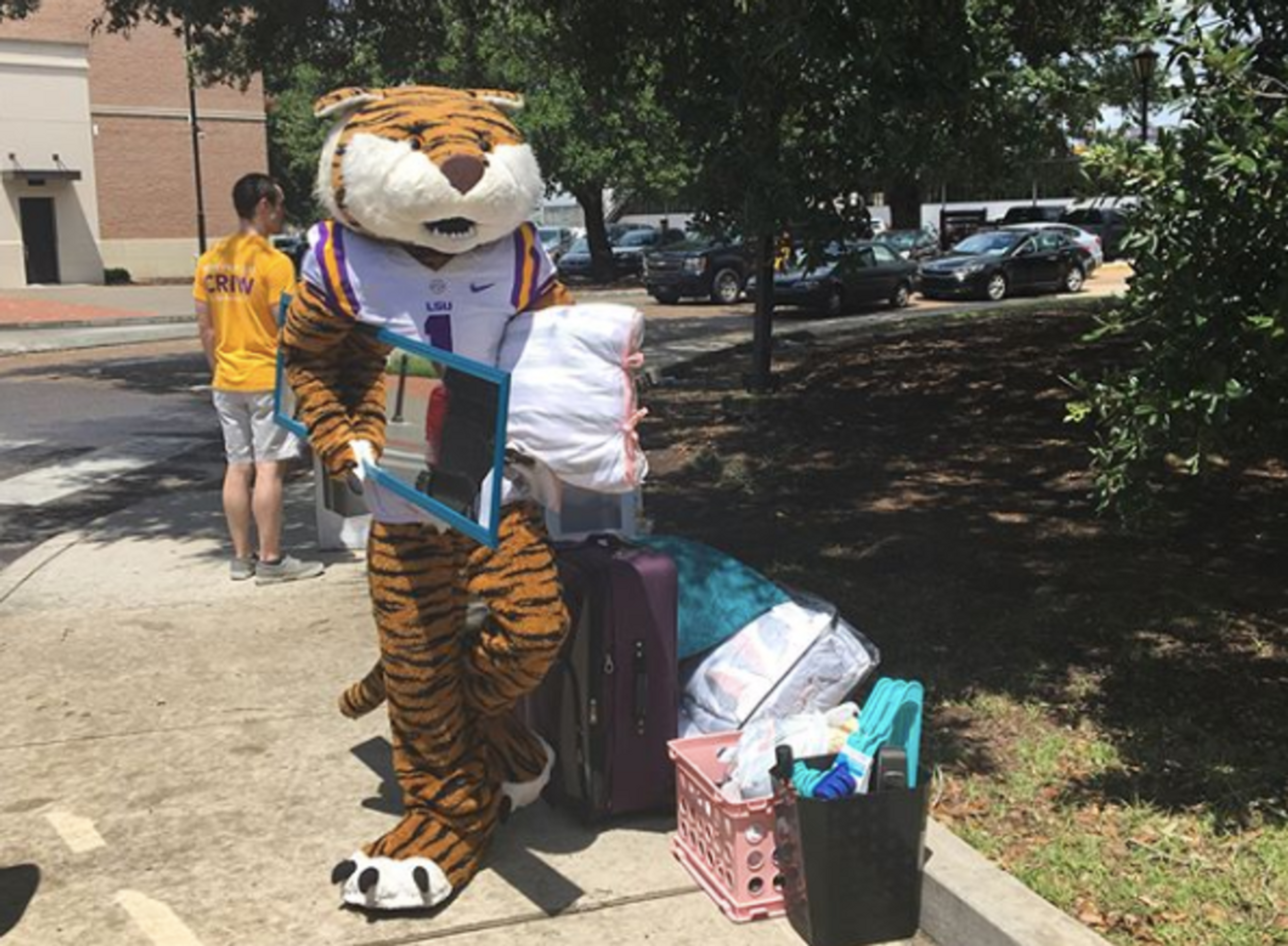7 Reasons All Incoming Tigers Should Live On Campus Freshman Year At LSU
