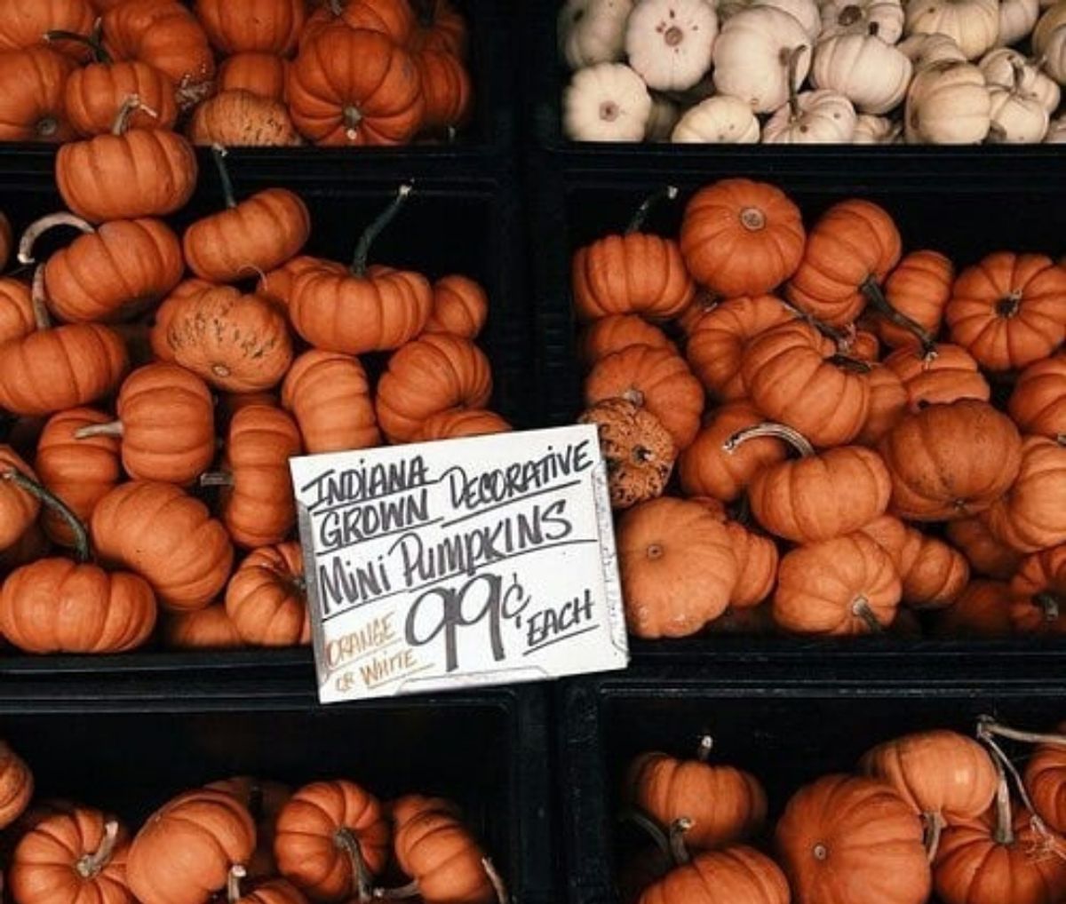 10 Ways To Make The Summer Feel Like Fall