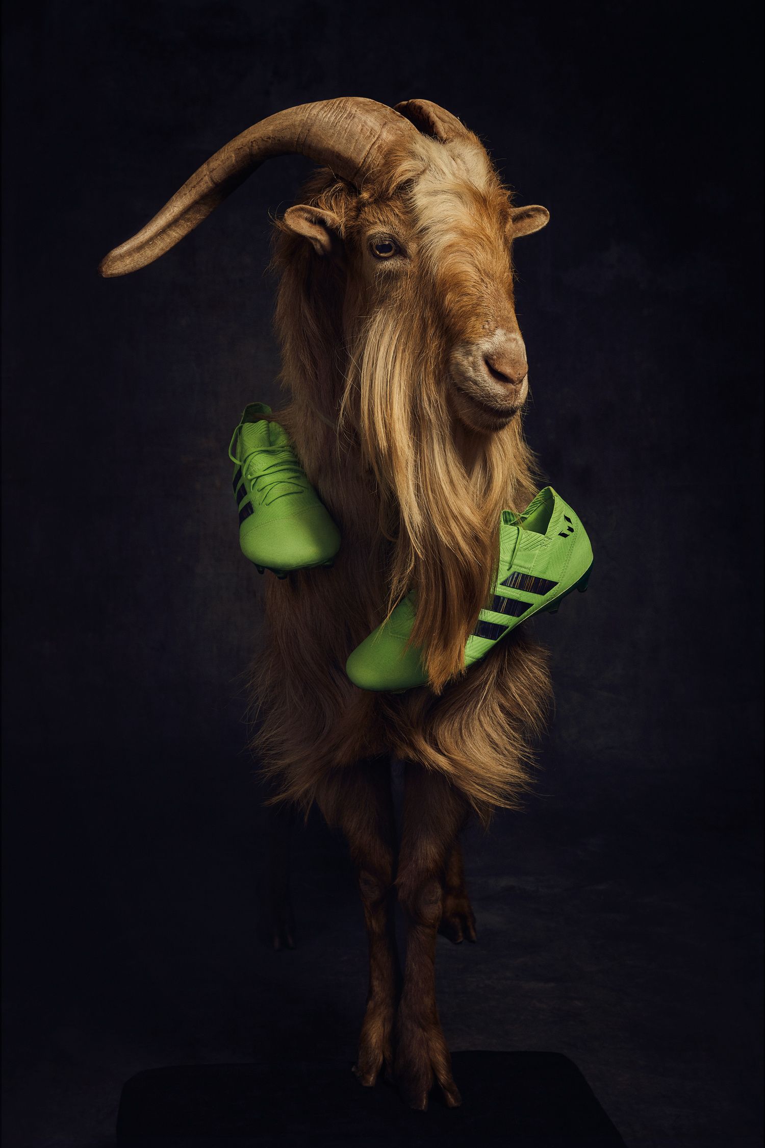 adidas goat