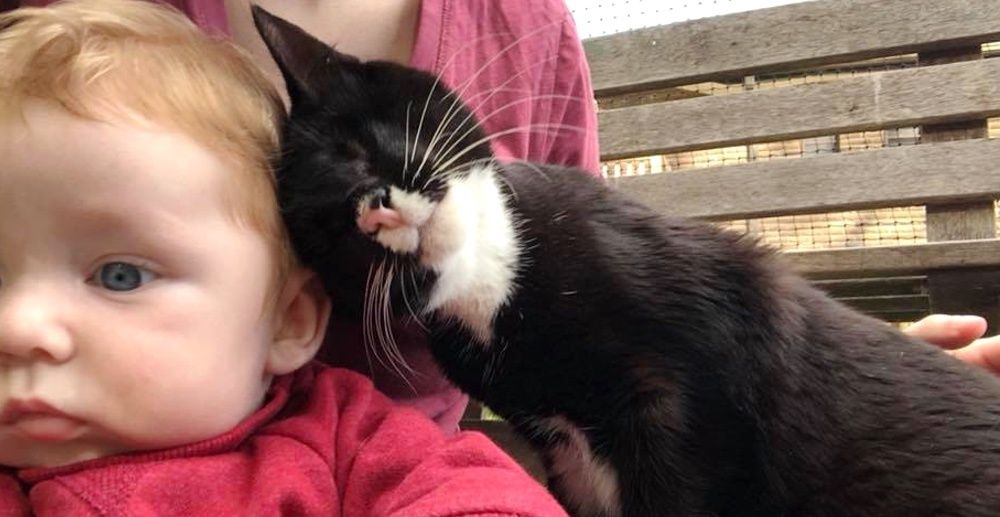 Blind Kitten Found Alone on Streets Can't Stop Giving Love and Cuddles