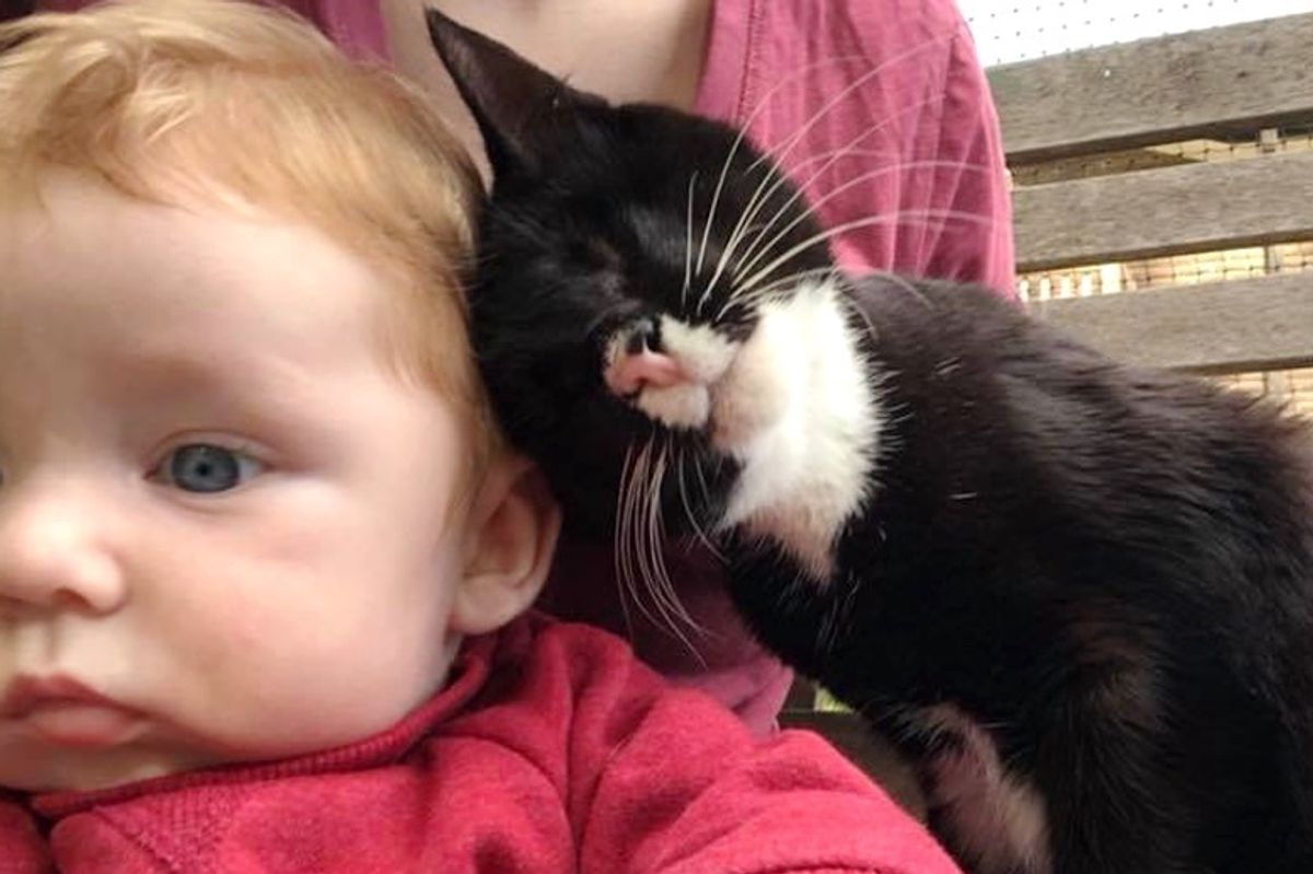 Blind Kitten Found Alone on Streets Can't Stop Giving Love and Cuddles for Saving Her Life