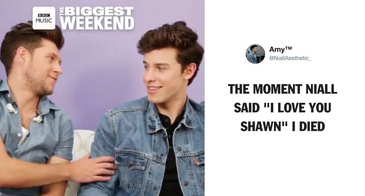 Niall Horan And Shawn Mendes Have A Bromance For The Ages—And We Need More 😍