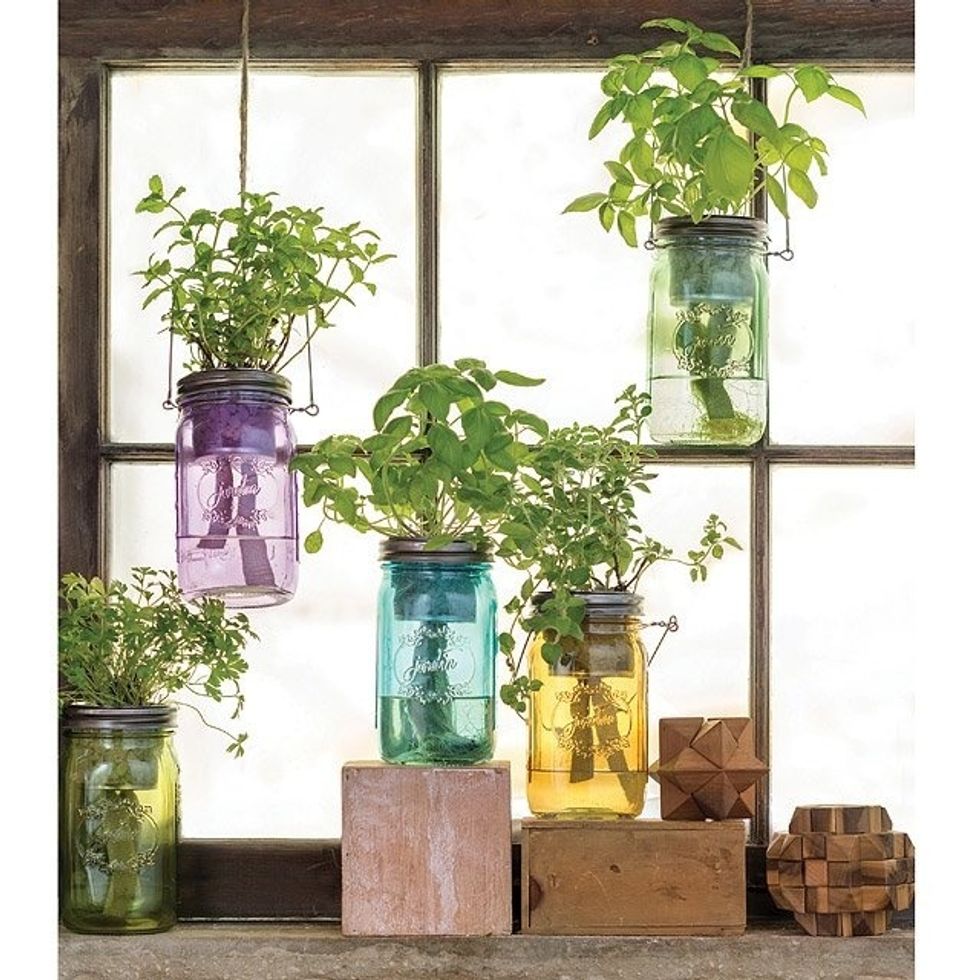 The Best Devices For Growing Herbs Indoors Topdust