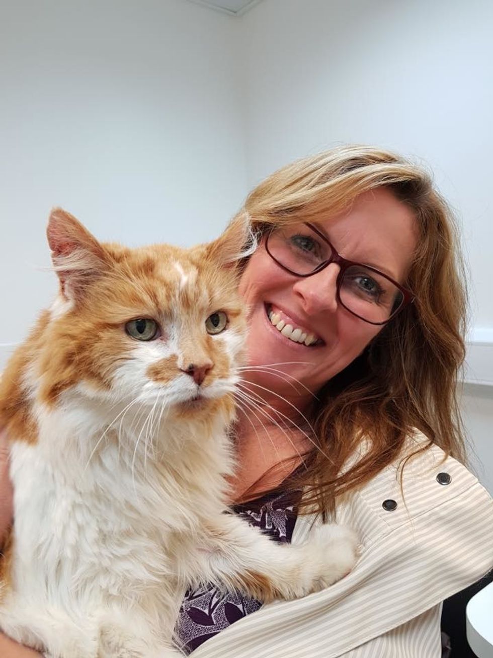 Woman Gave Kitten a Home, 30 Years Later, They Are Still Together ...