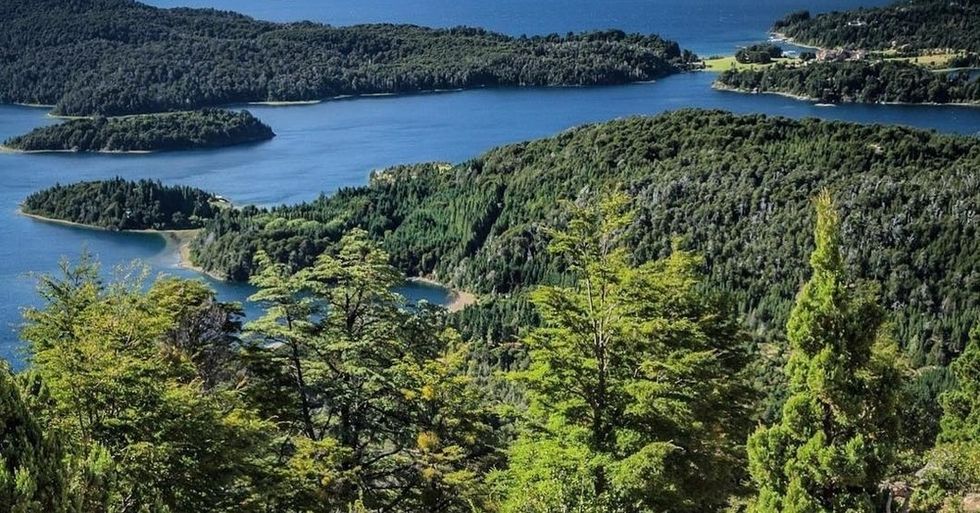 Environmental issues and how to fix them