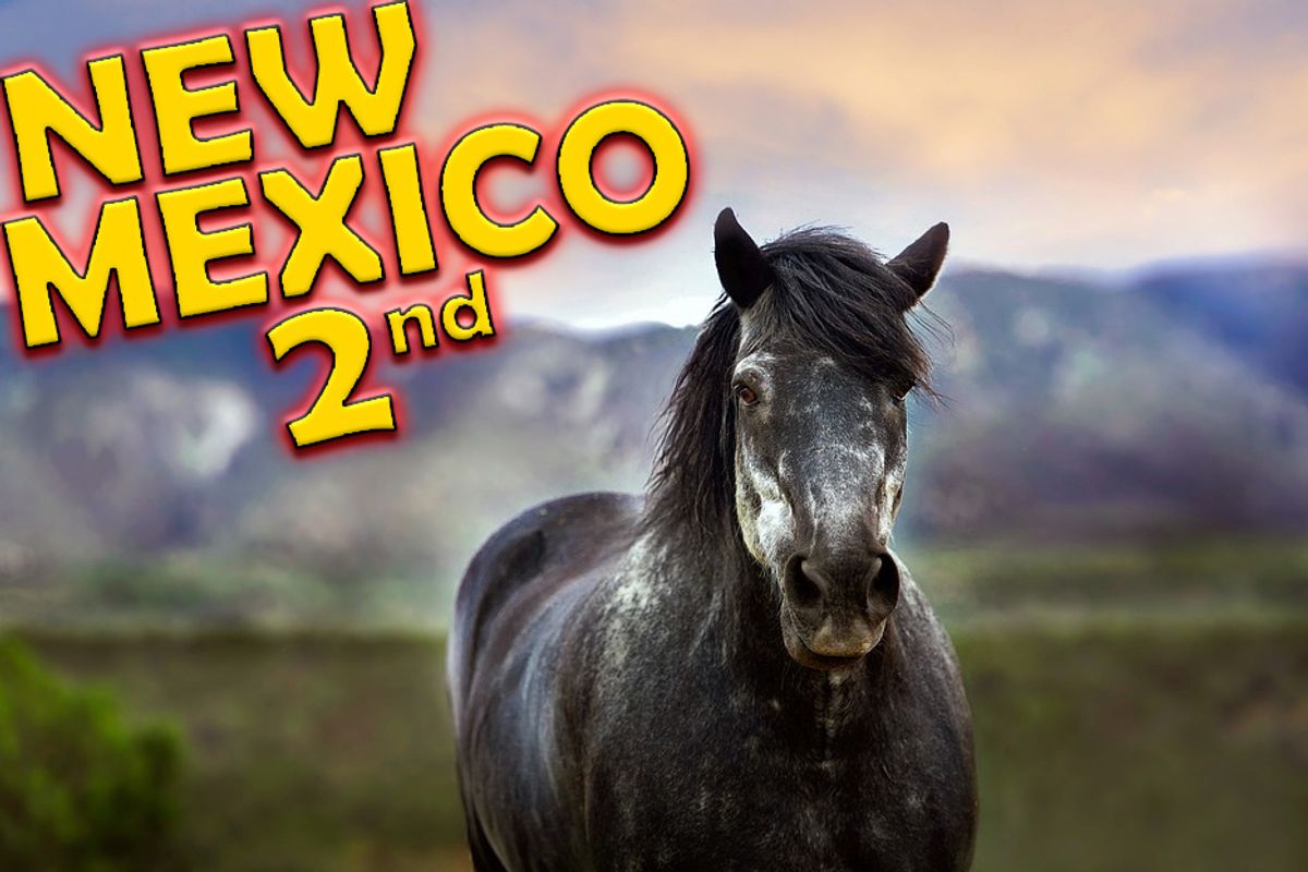 Sup New Mexico? Are You Even A State?