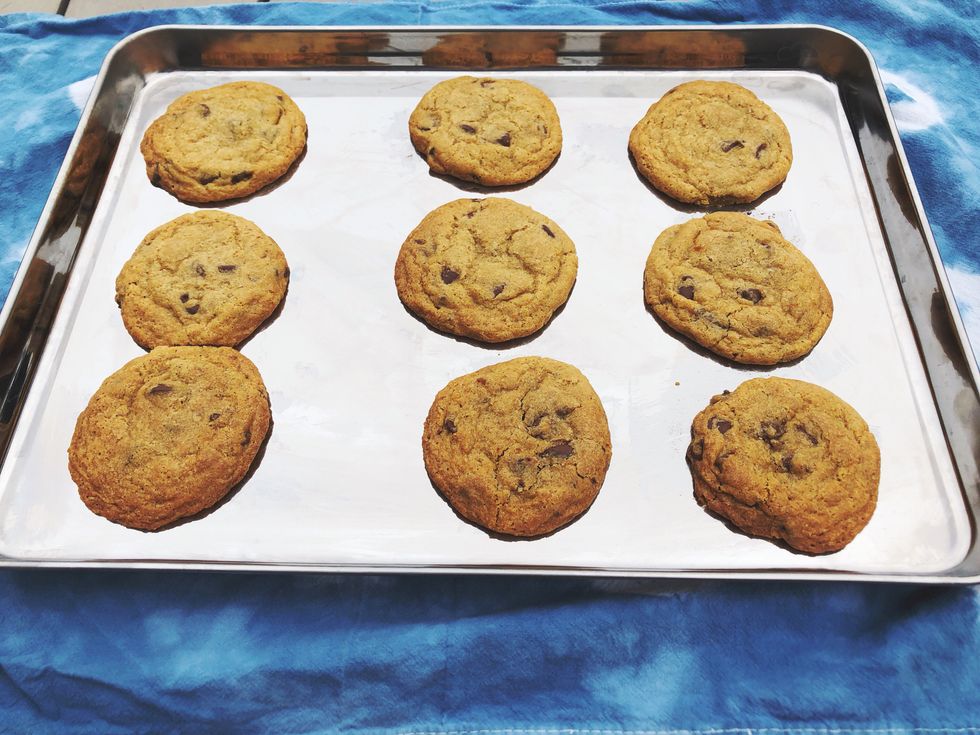 chocolate chip cookies baked on a stainless steel baking sheet