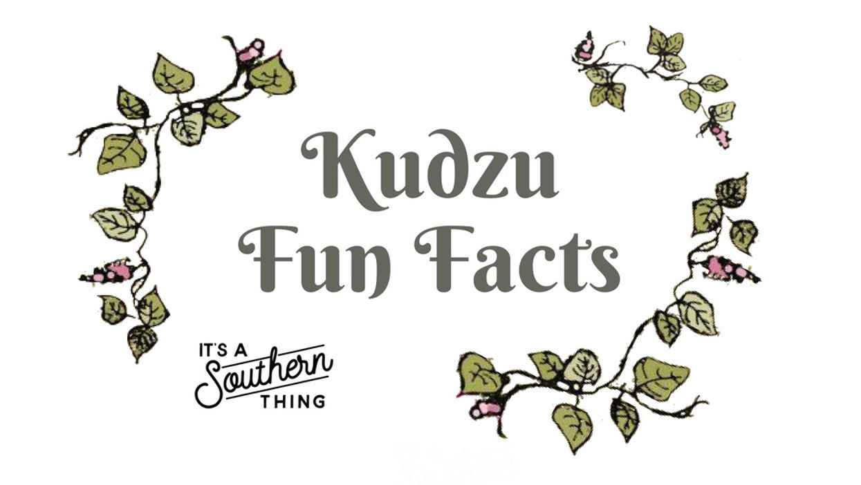 15 things to know about kudzu