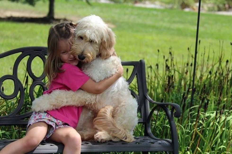 10 Reasons Why Dogs Are Man's Best Friends