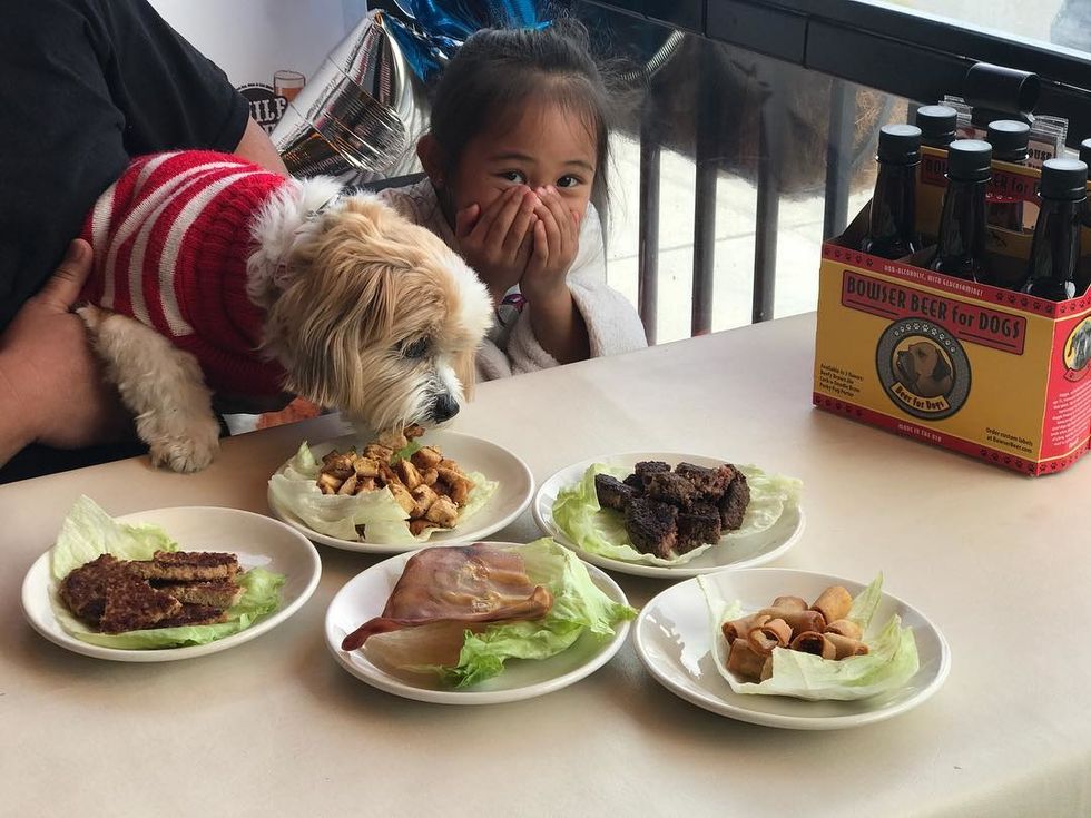 Dog Friendly San Francisco The Best Beaches Parks Restaurants Events More 7x7 Bay Area