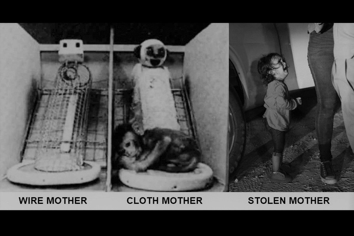 America Is The Wire Mother