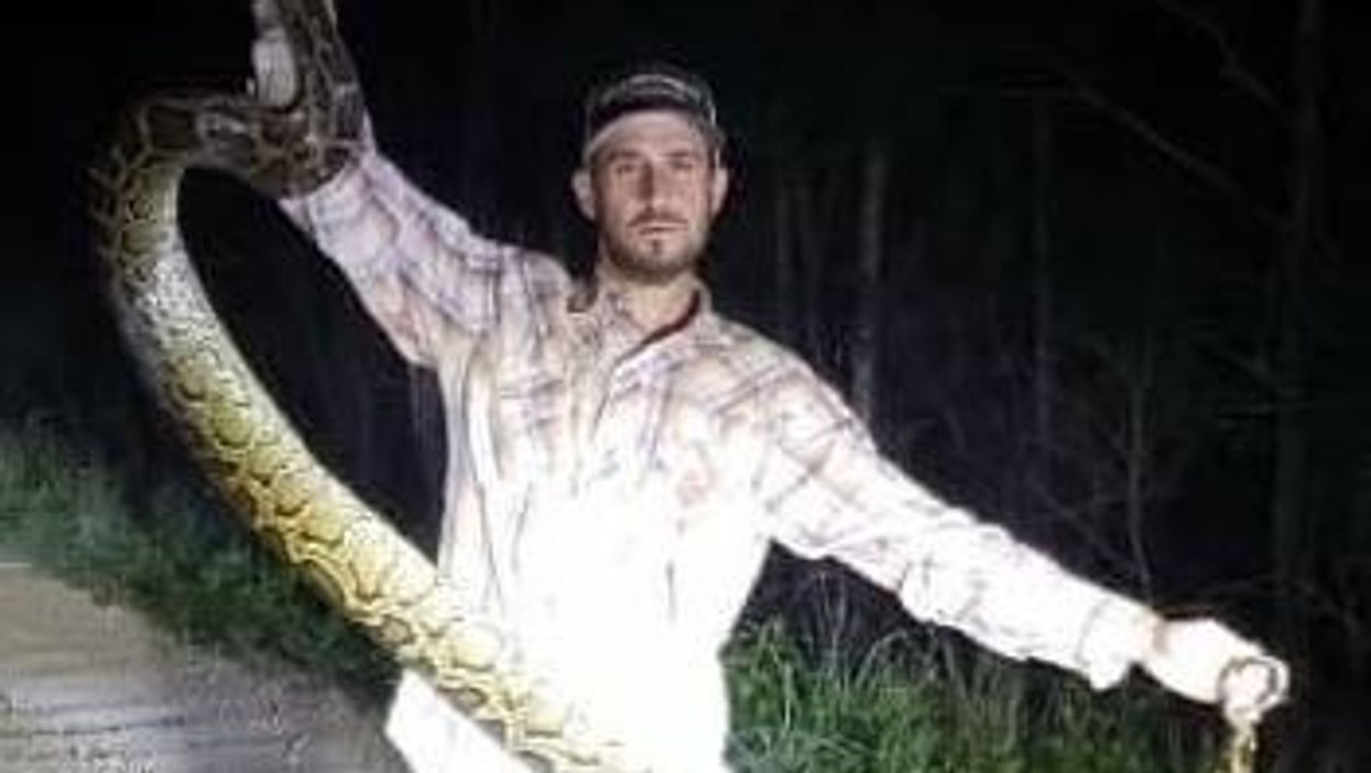 Florida man saves alligator from the clutches of a python in shocking video