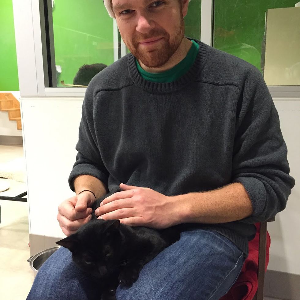 Shelter Cat Waited Months for Home, Hops on Man's Lap and Won't Let Him ...