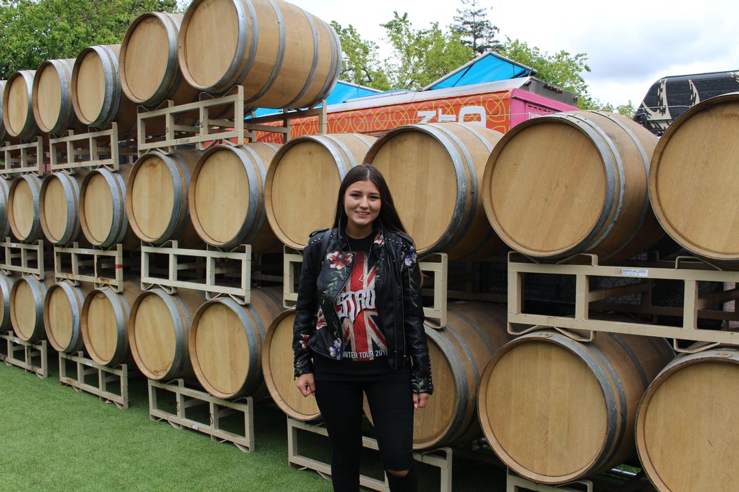 I went To BottleRock This Year, And This Is What It Was Like