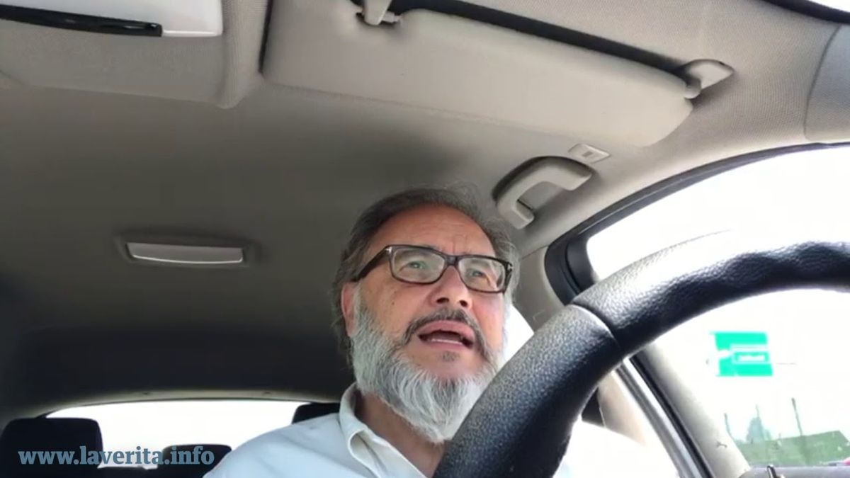 Il Pd è passato dai girotondi ai picnic nei parchi