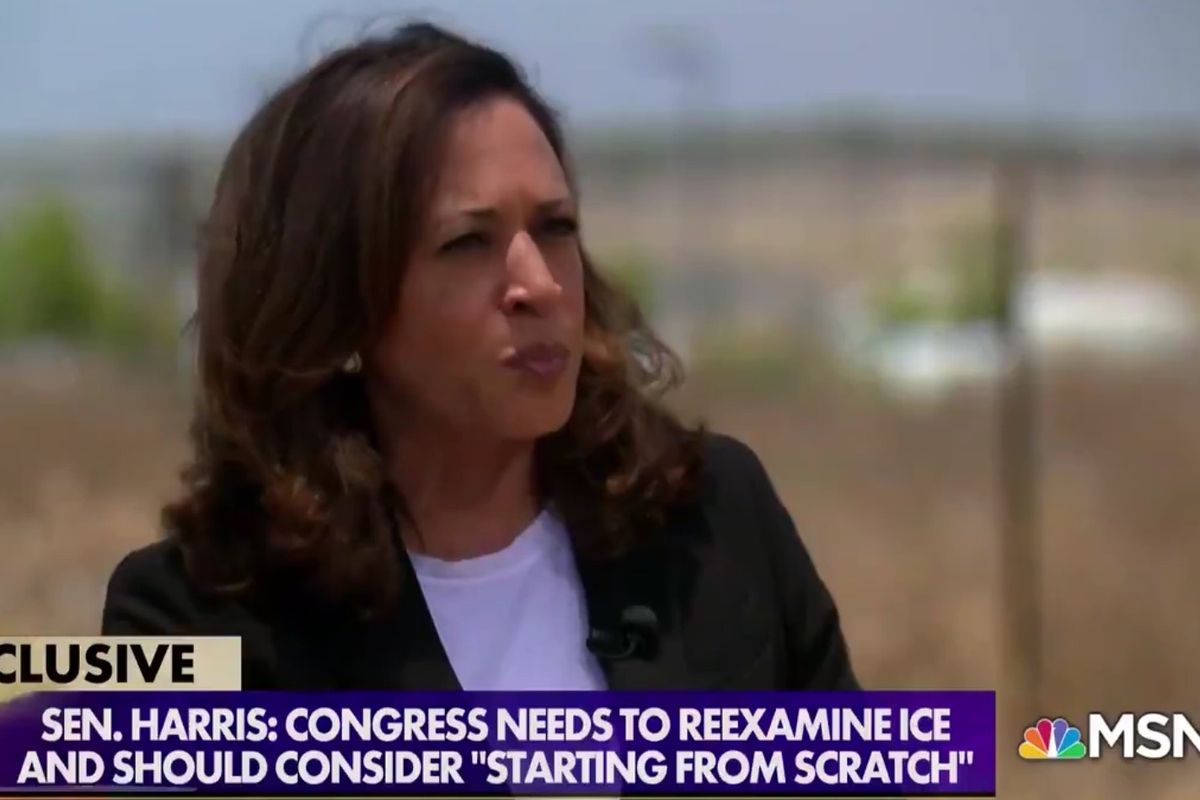 ICE Thug Breaks A Lawyer's Foot; Kamala Harris Wants To Break Foot Off In ICE's Ass