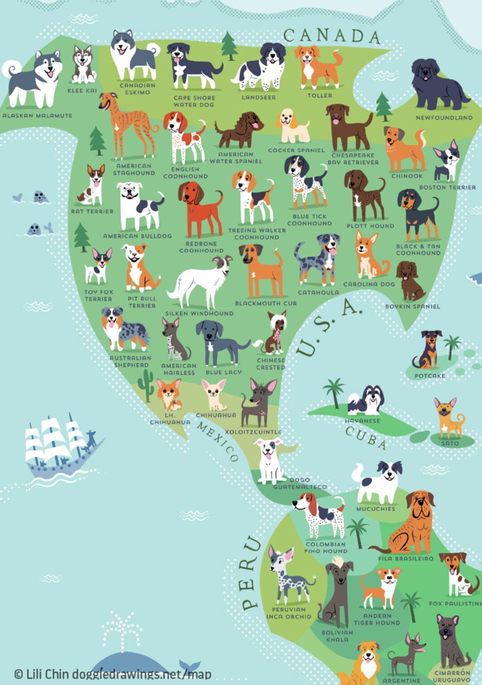 what-countries-dog-breeds-originated-around-the-world-photos