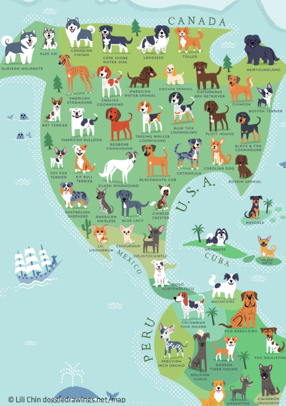 Over 40 Of All Officially Registered Dog Breeds Originate In Britain Over 40 Of All Officially Registered Dog Breeds Originate In Britain