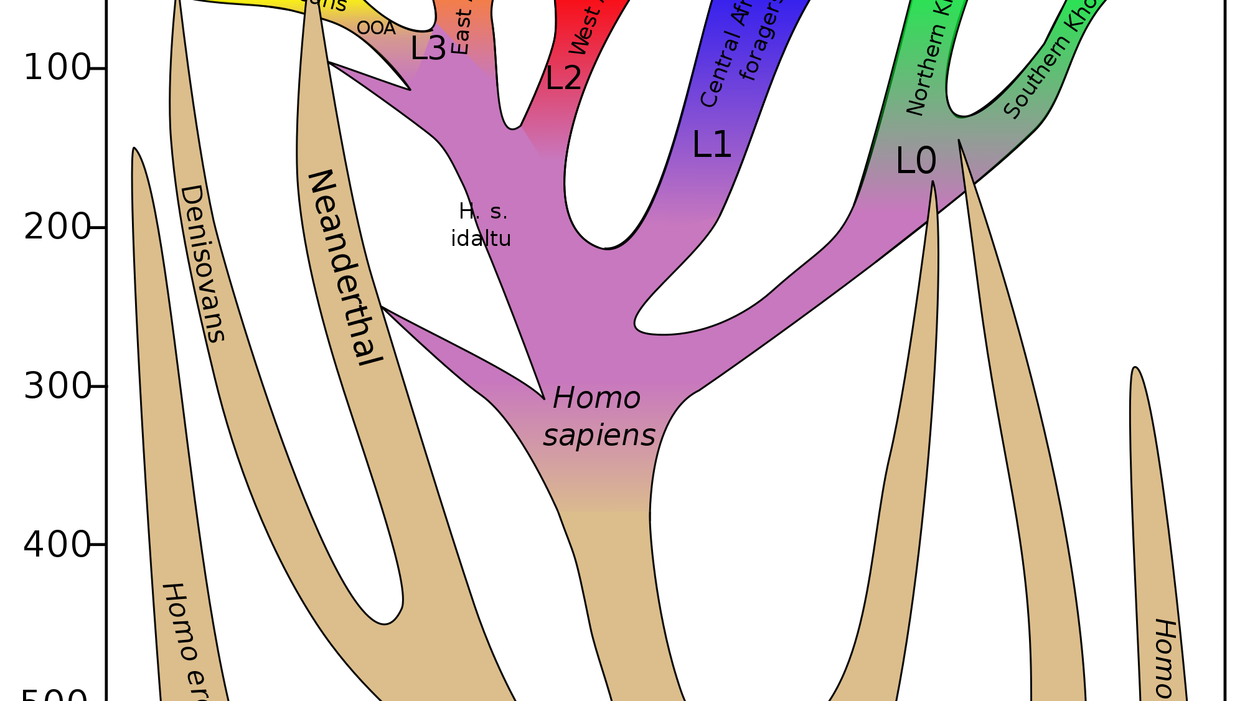Our Human Linkage