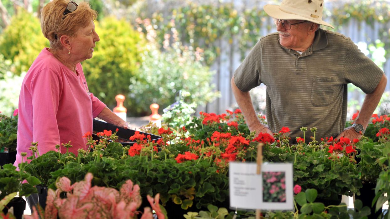 Minnesota named happiest state, despite lack of sweet tea, grits and other good stuff we love