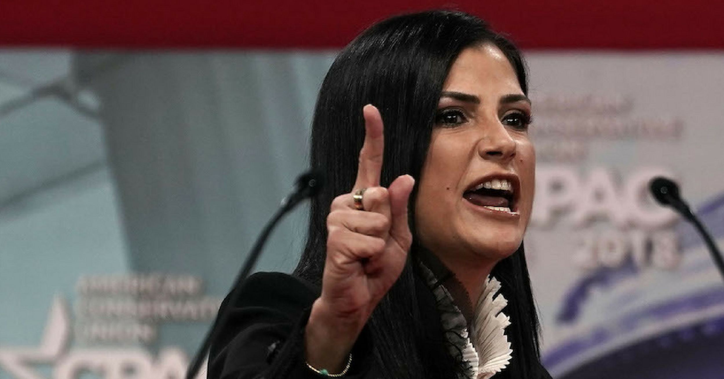 Did NRA Spokeswoman Dana Loesch Seriously Just Compare 3D Printing Untraceable Guns To Knitting?!