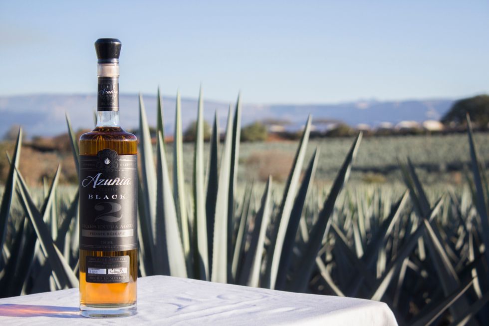 What's So Good About Tequila?
