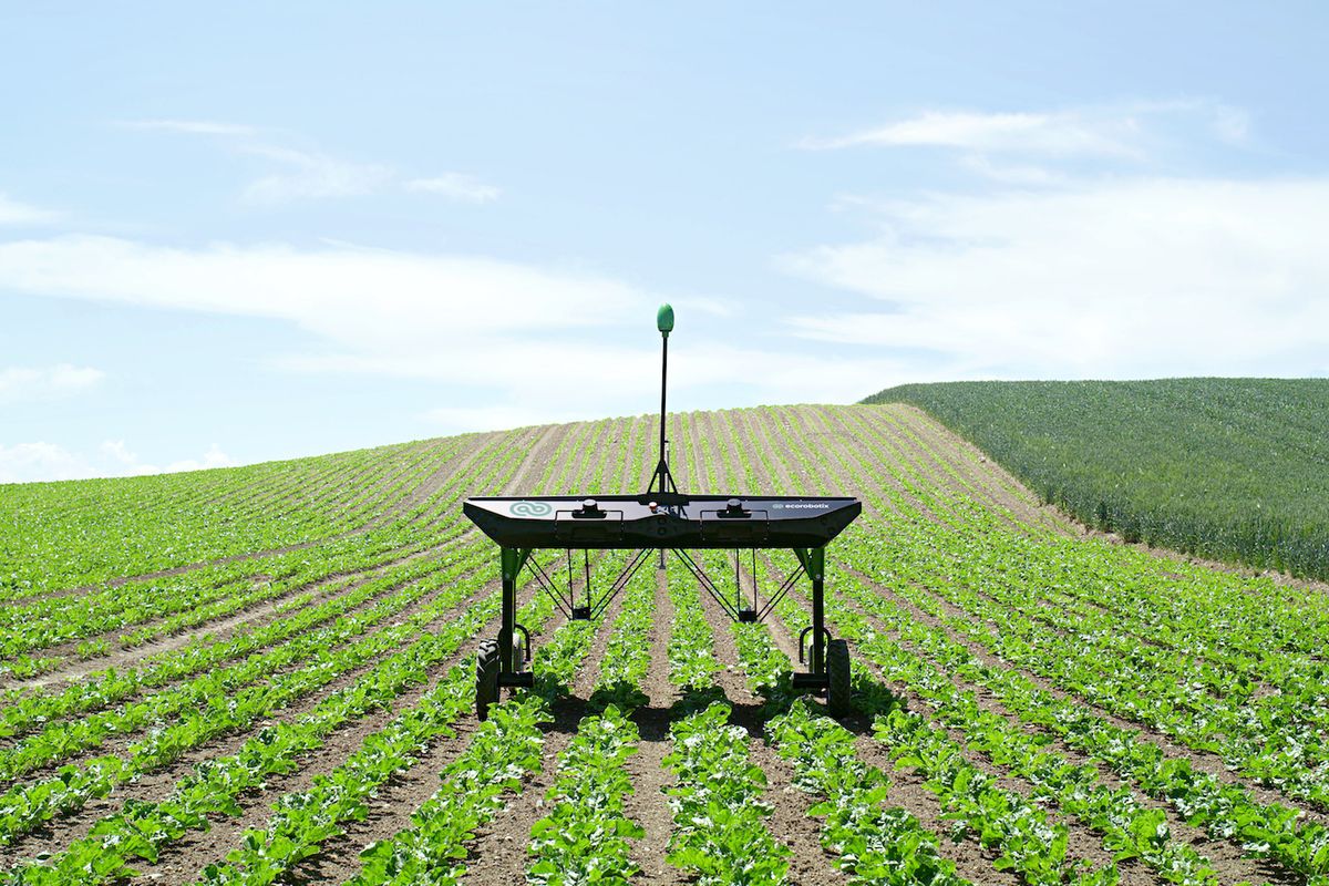 weeding robots ecoRobotix agtech farm agriculture