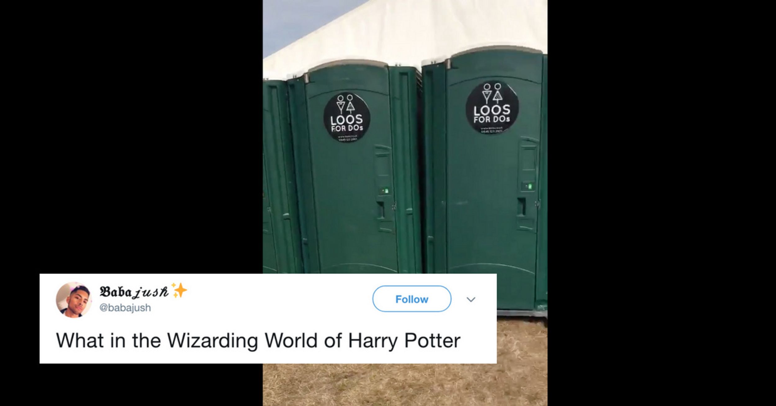 Row Of Seemingly Normal Portable Toilets Is Not What It Appears 😮